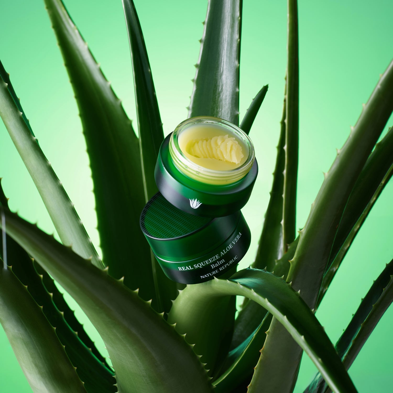Real Squeeze Aloe Vera Balm-2